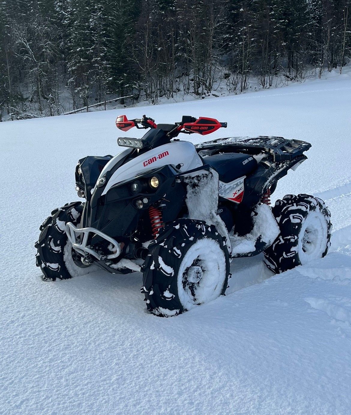 2018 Can-Am Renegade G2 650 - 3220km